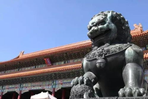 一、 杨公风水理论概述：阴阳调和与气场运行