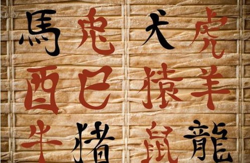 1971年辛丑年八字偏财，这是正确的年份吗？