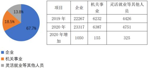 2.1 2025年7月主要适宜生肖概览