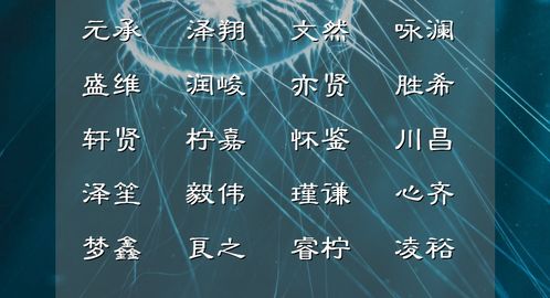 2. 音律：朗朗上口