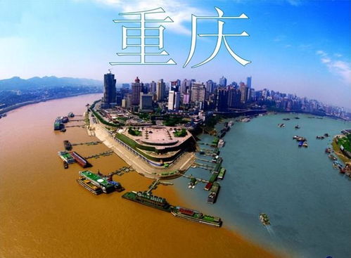 第三天的天然风光：武隆天生三桥和仙女山森林公园