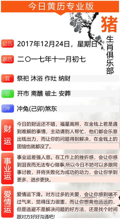 八、 结论与提议