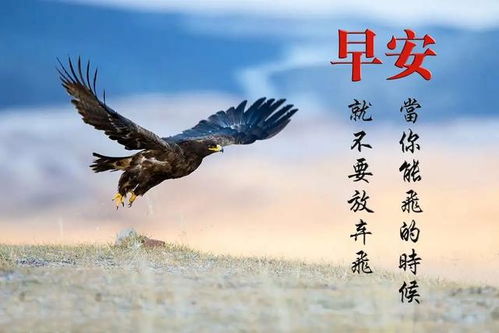 兔年出生者：犹豫与决断的考验