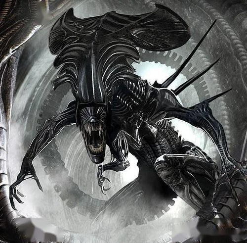 我的气运祭坛风水如何调整才能更佳？