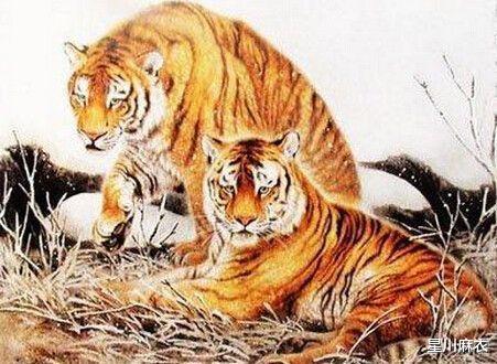 研究背景与目的