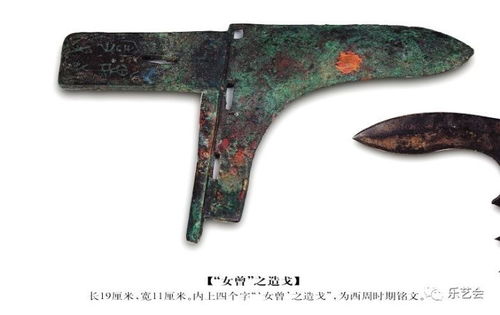 这人设也太完美了吧？