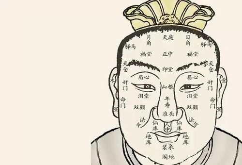 2. 下肢形态：晚年运势的支撑力