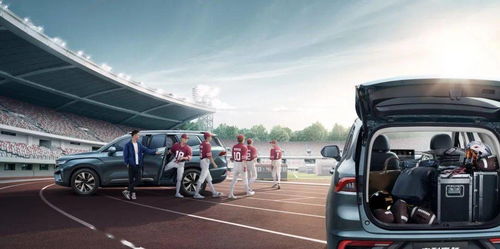 （二） 属马成员的特殊考量