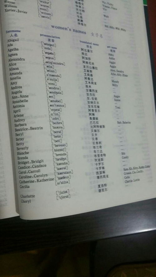 2. 当梦幻遇见现实：炎热爱丽丝与朱莉