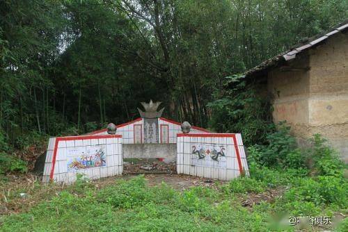 一、  树木根系穿破棺木：智力衰退与家族兴衰之隐忧