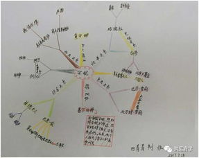 2. 生死互补关系