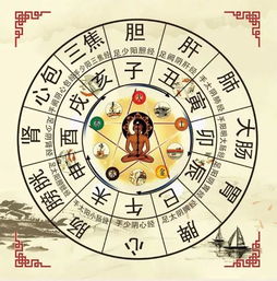 三、 阴阳六阳六阴之划分原则