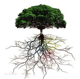 狂风骤雨打一生肖，浇树浇根打一生肖分别指什么生肖？