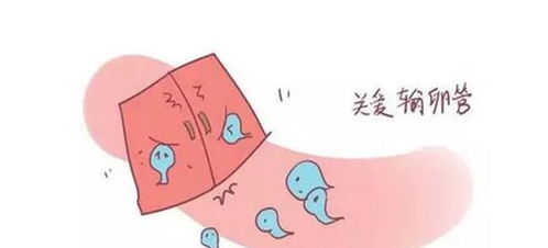 一、先说点背景啥的