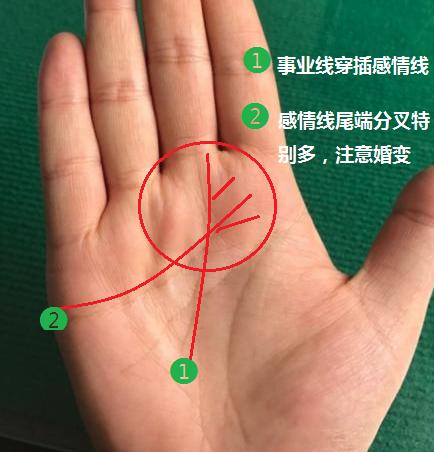 手相中感情线与智慧线分叉，这是否意味着什么特殊含义？