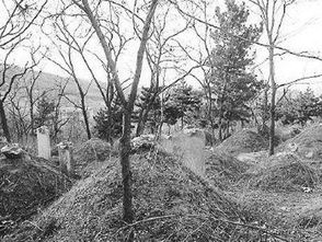 （二）树根缠棺与精神失常之兆