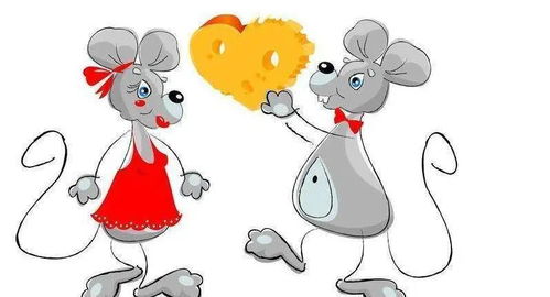 1972年属鼠女性在2026年每个月的运势和整体运程分别如何？