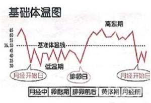 2.1 基础体温法（BBT）与宫颈黏液法