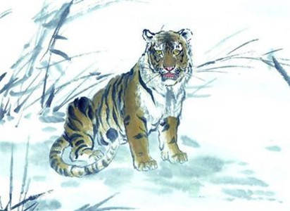 2026年86年出生属虎的女性运势如何？