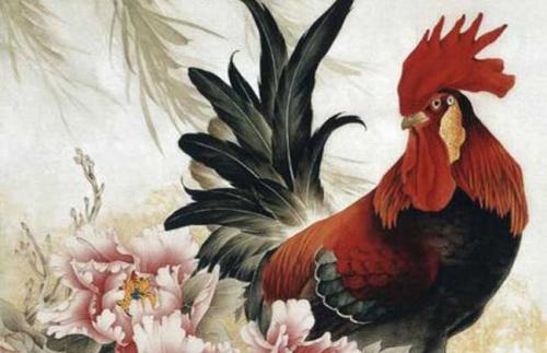 1969年属鸡人2026年和2028年运势分别如何？