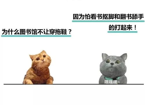 生肖狗：忠诚善良的德行坚守