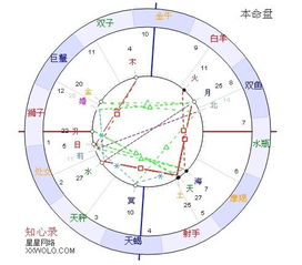 情感纽带与婚姻预兆的梦境映射