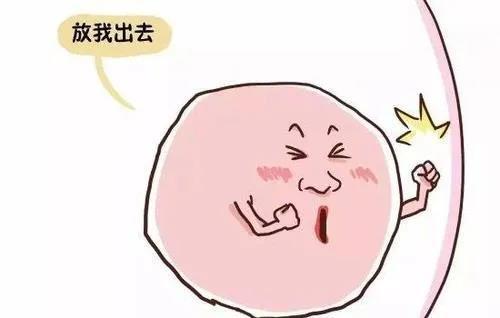 基础体温监测