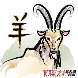 1979年属羊人今日婚姻运势如何，具体运势分析是什么？