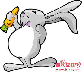 属兔的人八月份运势究竟如何，运势好坏具体表现是什么？