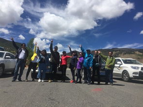 5.1 车辆选择建议（混乱版）