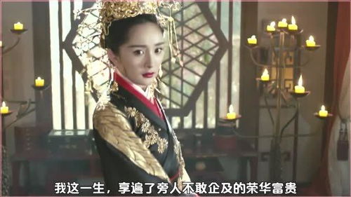 一、 探究背景及文献梳理