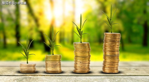 一、 整体运势概述