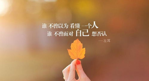 ：情感耗竭与心理救赎的辩证关系