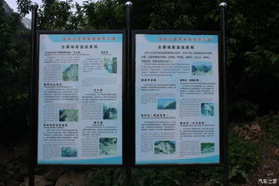 四、老人小孩也是VIP？没错这就是尊老爱幼的力量！(感动哭)