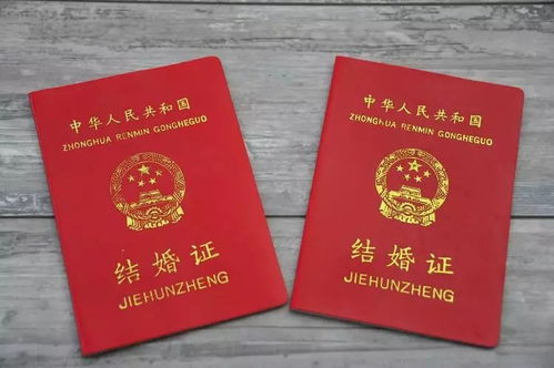 干支五行与胎神的综合影响评估