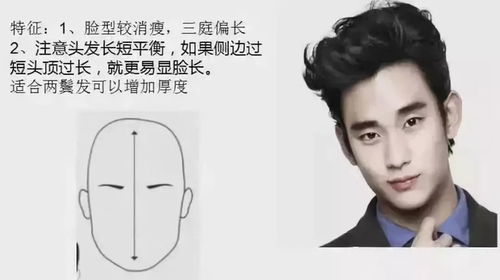 五、 实证研究：长脸与智力关联探讨（捷克案例）