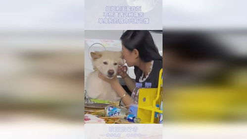 单身狗做这种梦说明爱情又黄了