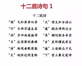 宅南午地：