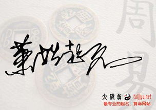 五行属金的萧姓名字：那些个“硬气”的选择