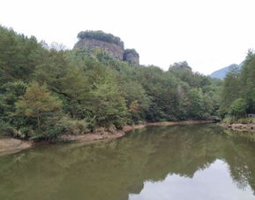 鄂州华容杏福园：套餐里的“隐形消费”