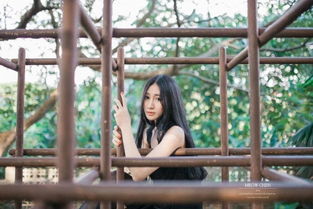 ：文艺深度与网络身份的交叉探讨