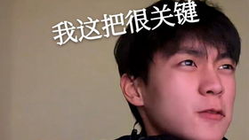 风水元素网名：汲取自然之气的智慧