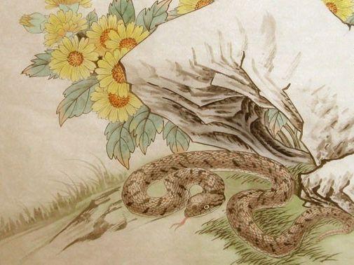 1978年属马的人3月份财运如何，属蛇的运势又怎样？