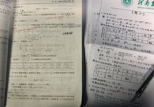 六、结论与反思：是否应将2025年8月8日视作婚嫁佳期？