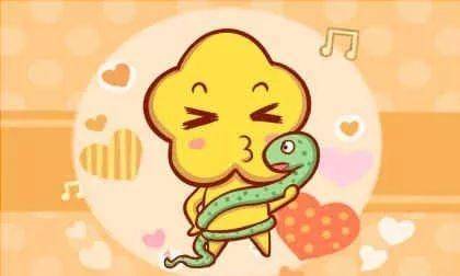 针对单身兔生肖的建议