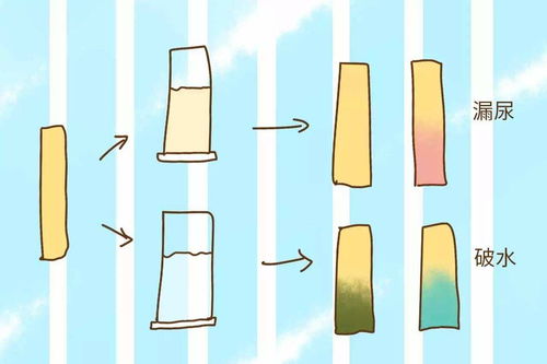 为什么大家都拿它没辙？