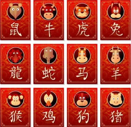 西南生肖金火土组合对应的是哪一种生肖？