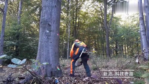 我为什么会梦到别人在伐树，树木倒下的情景呢？