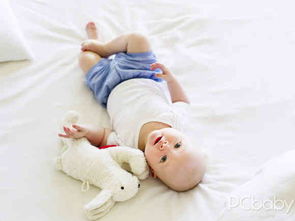 惯与“羊”元素的创意