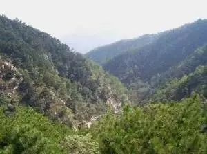 泰山六月山顶避暑游：一场说走就走的灾难